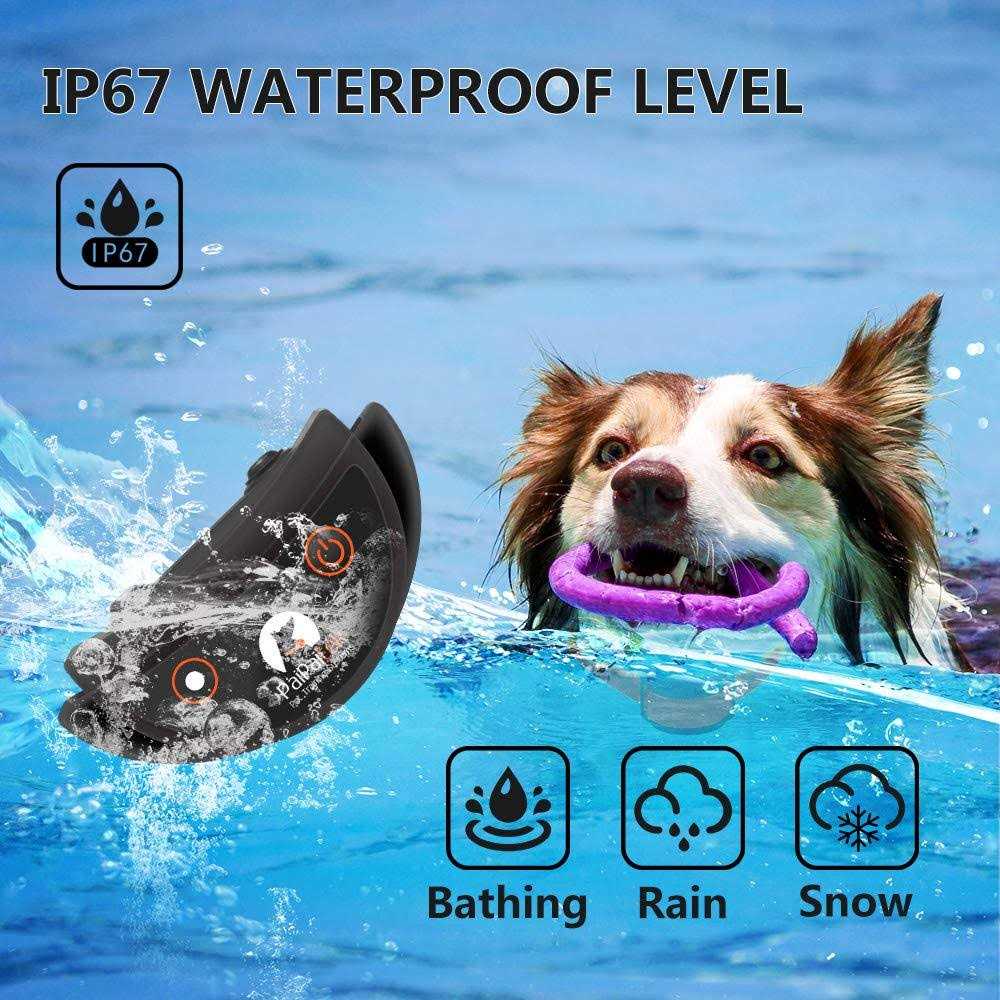 Dog Training Collar with Remote H5856
