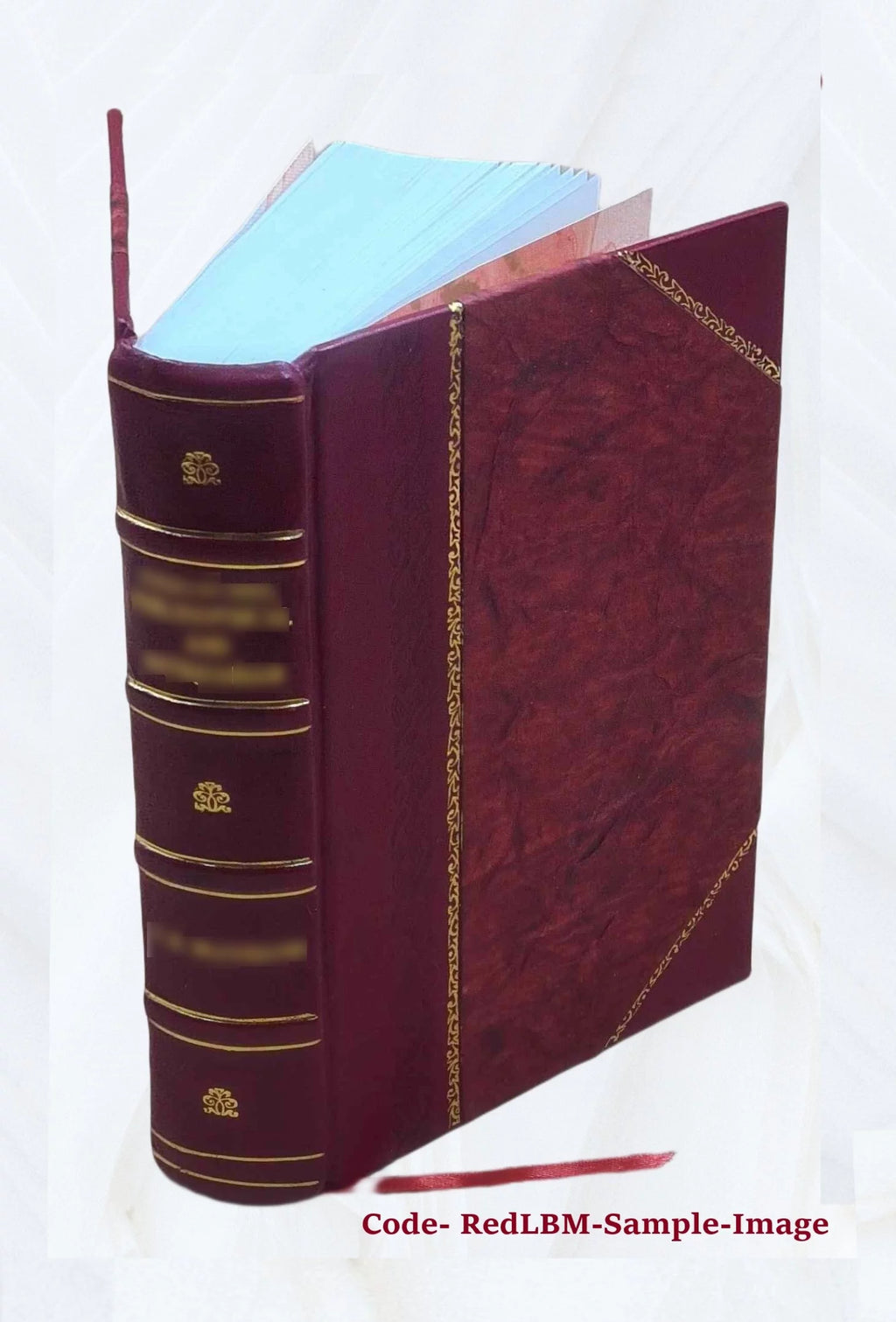 Leather Bound Y6299
