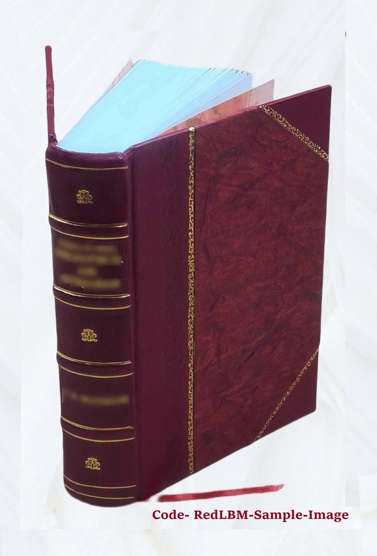 Leather Bound Y6299