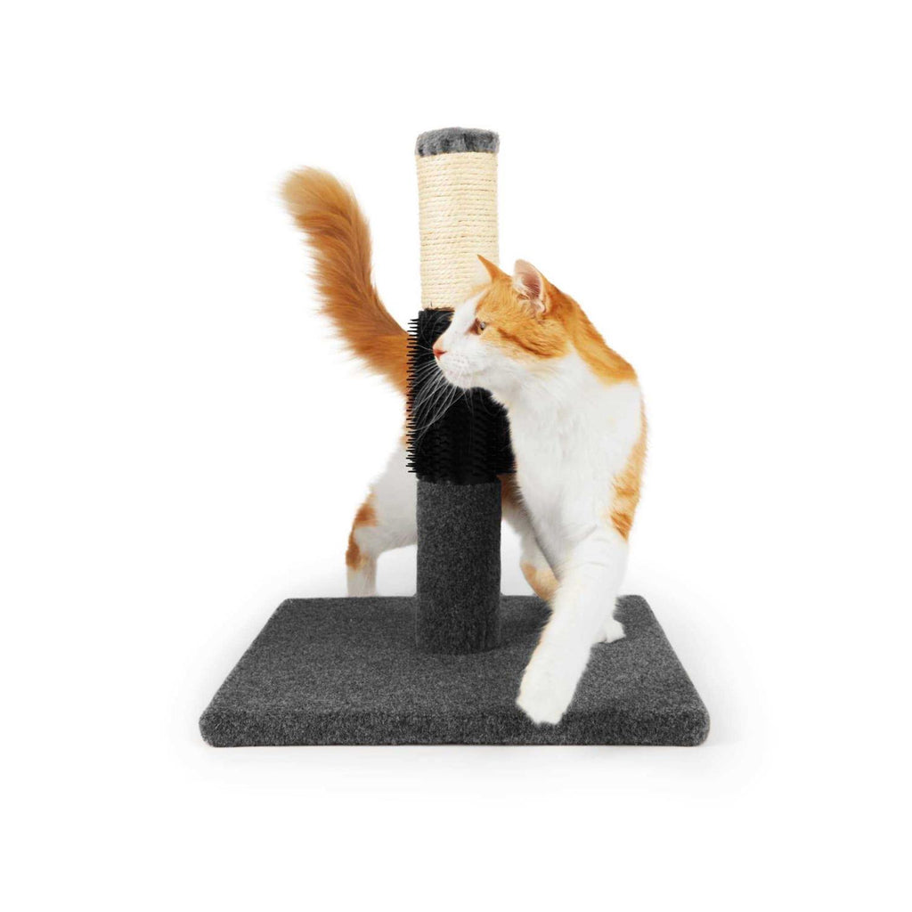 Colorful Cat Scratch Post H790