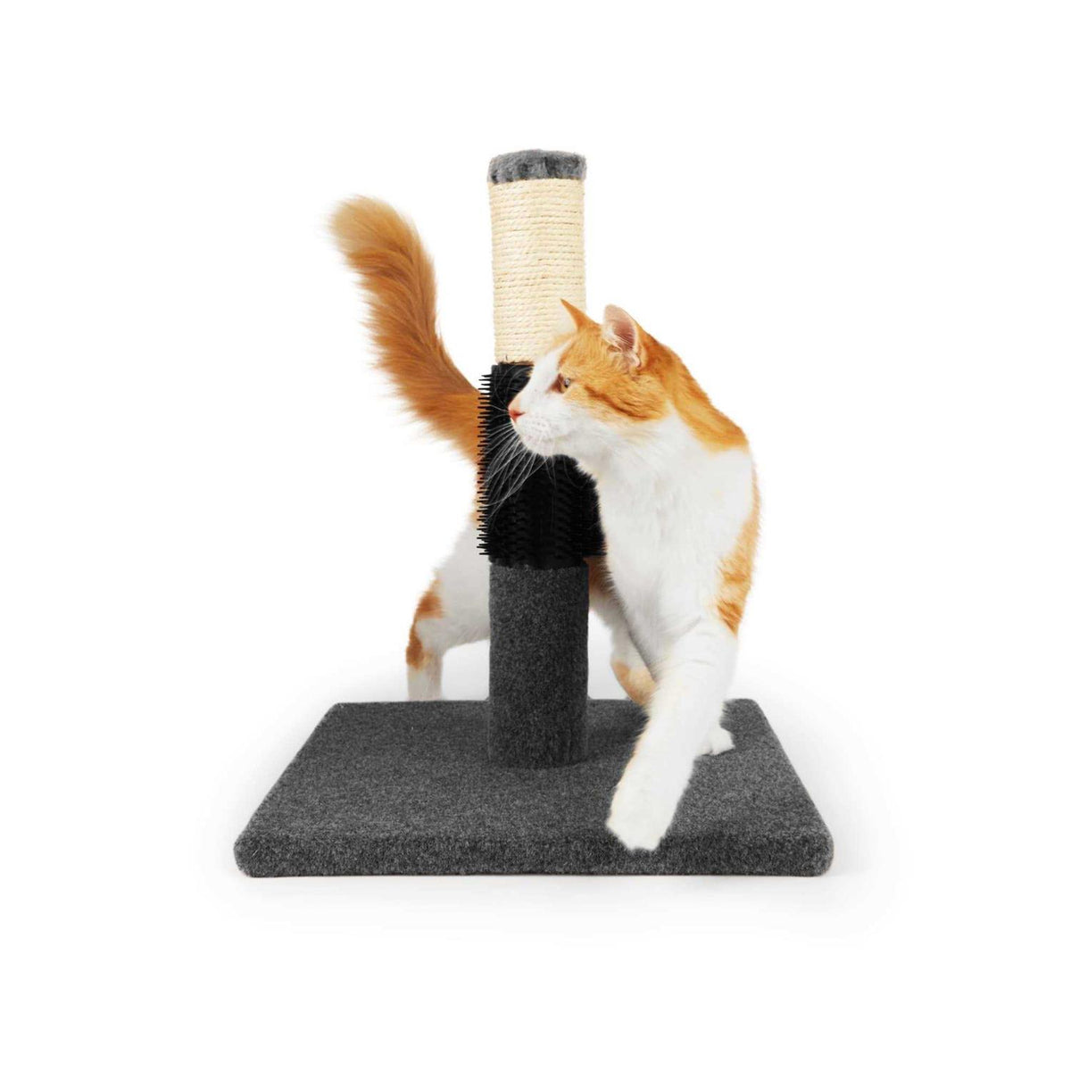 Colorful Cat Scratch Post H790