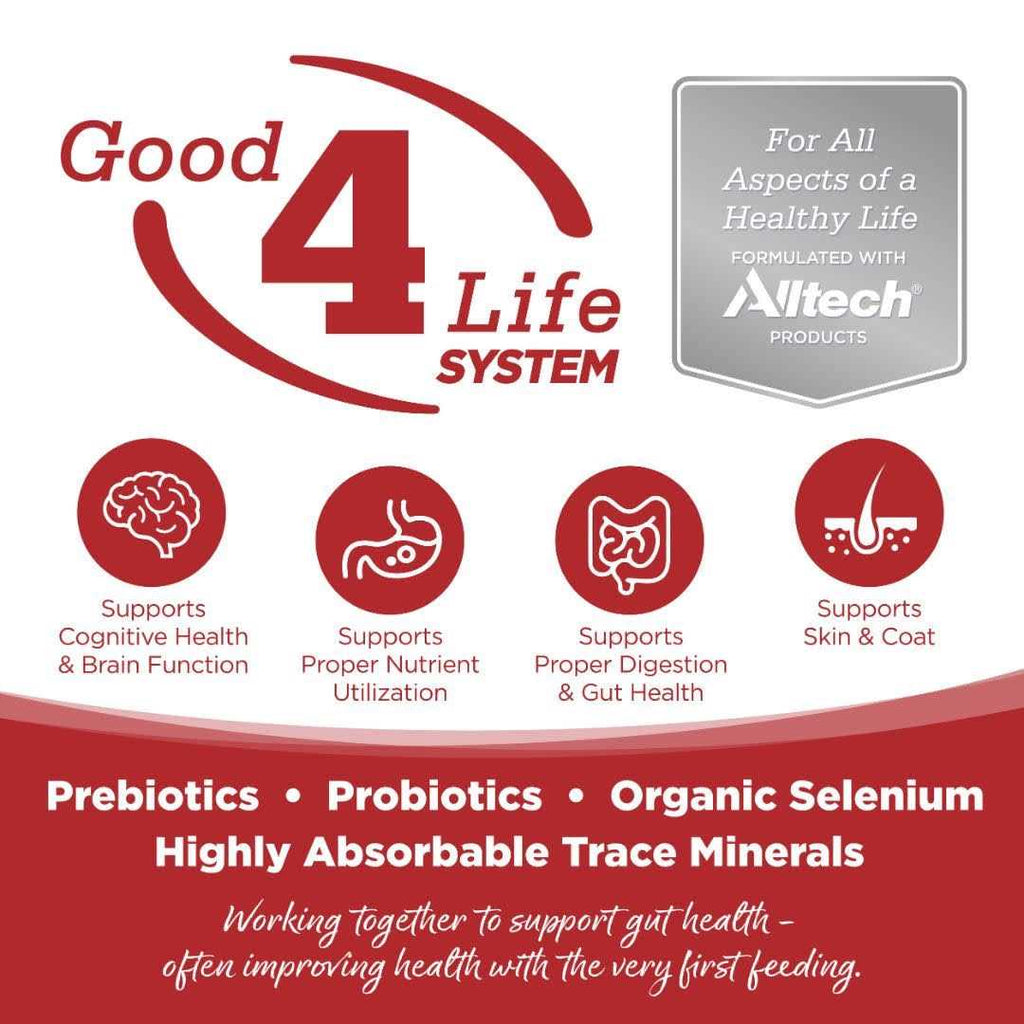 Beef & Red Lentils Grain Free Dry Dog Food A754802