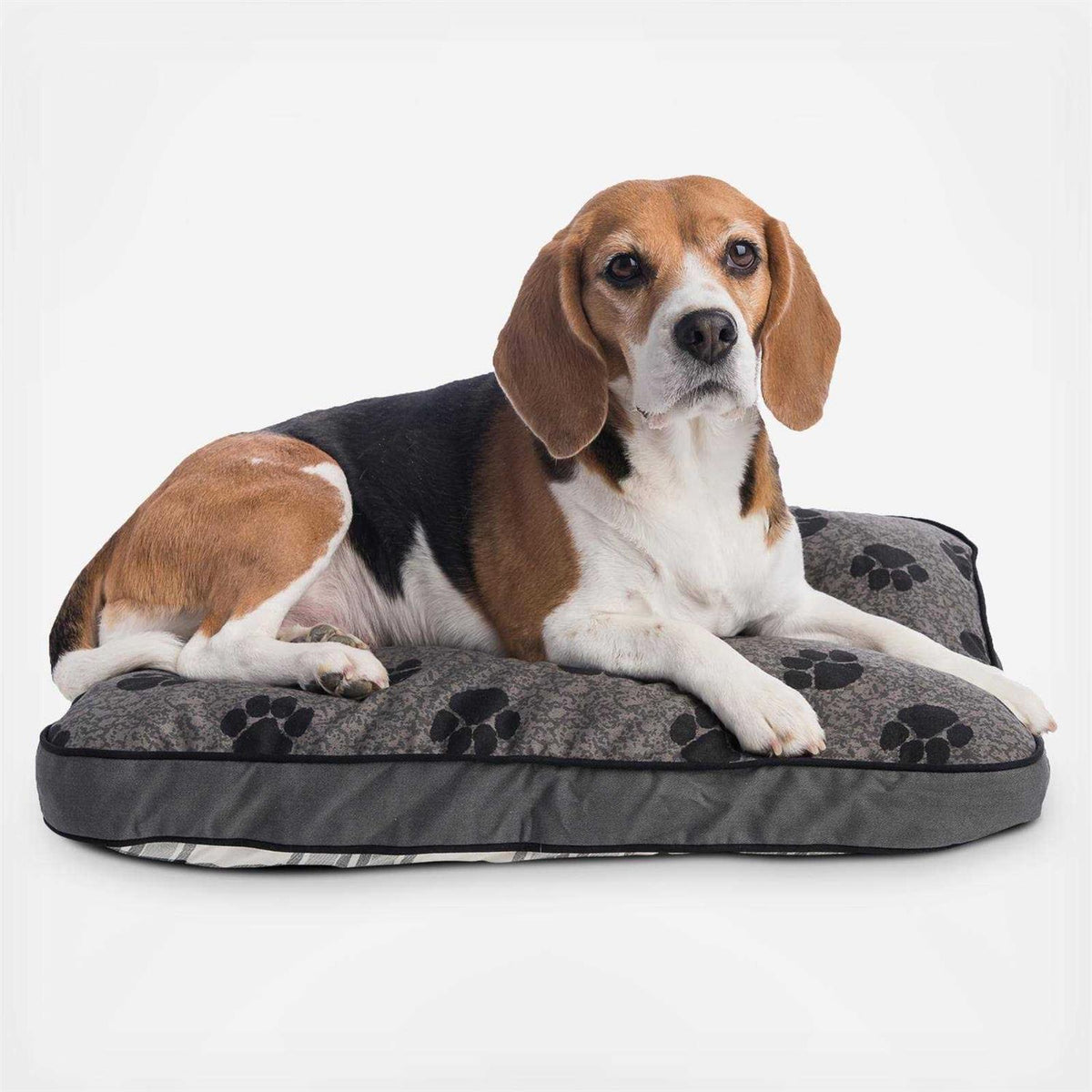 Dog Bed R6876