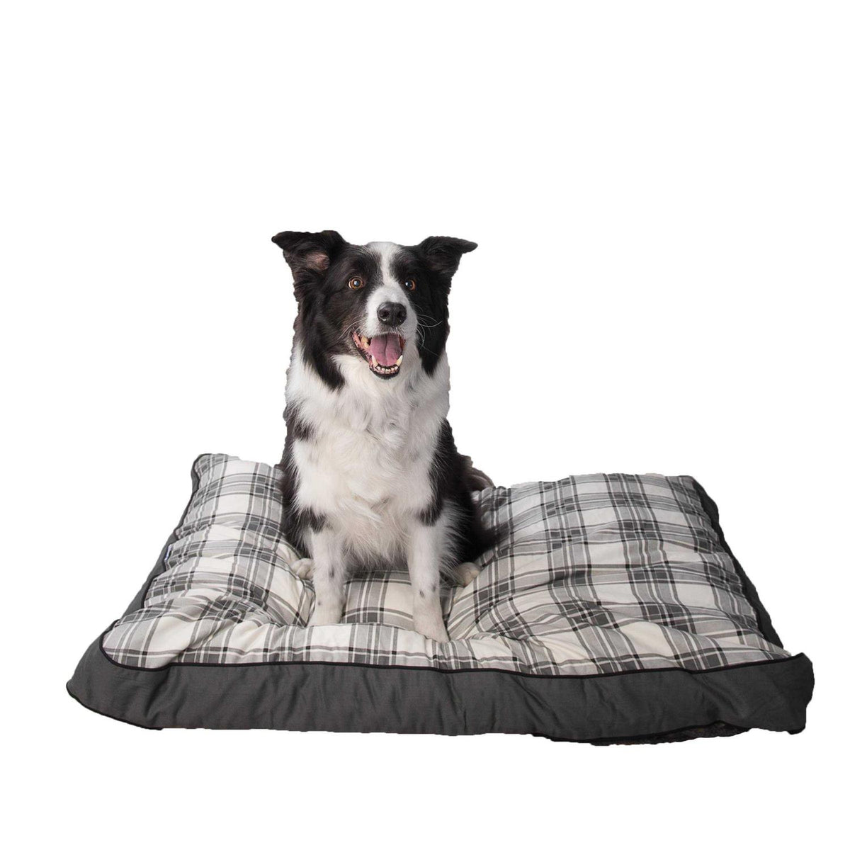 Dog Bed R6876