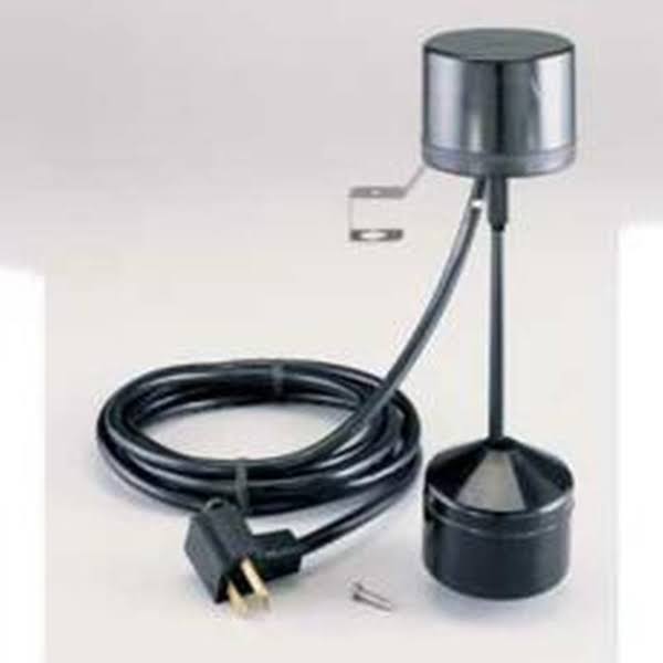 Float Switch F266819