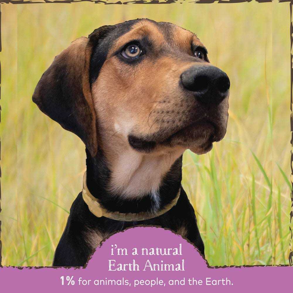 Flea & Tick Daily Herbal Internal Powder Q814267
