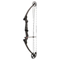 Carbon Bow Kit D238578