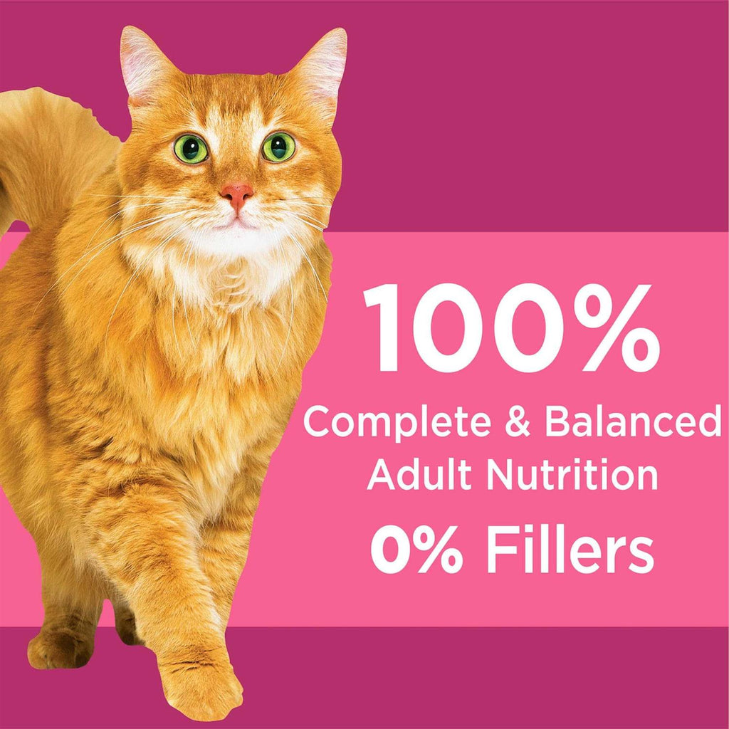 Chicken Adult Urinary Tract Dry Cat Food R922061
