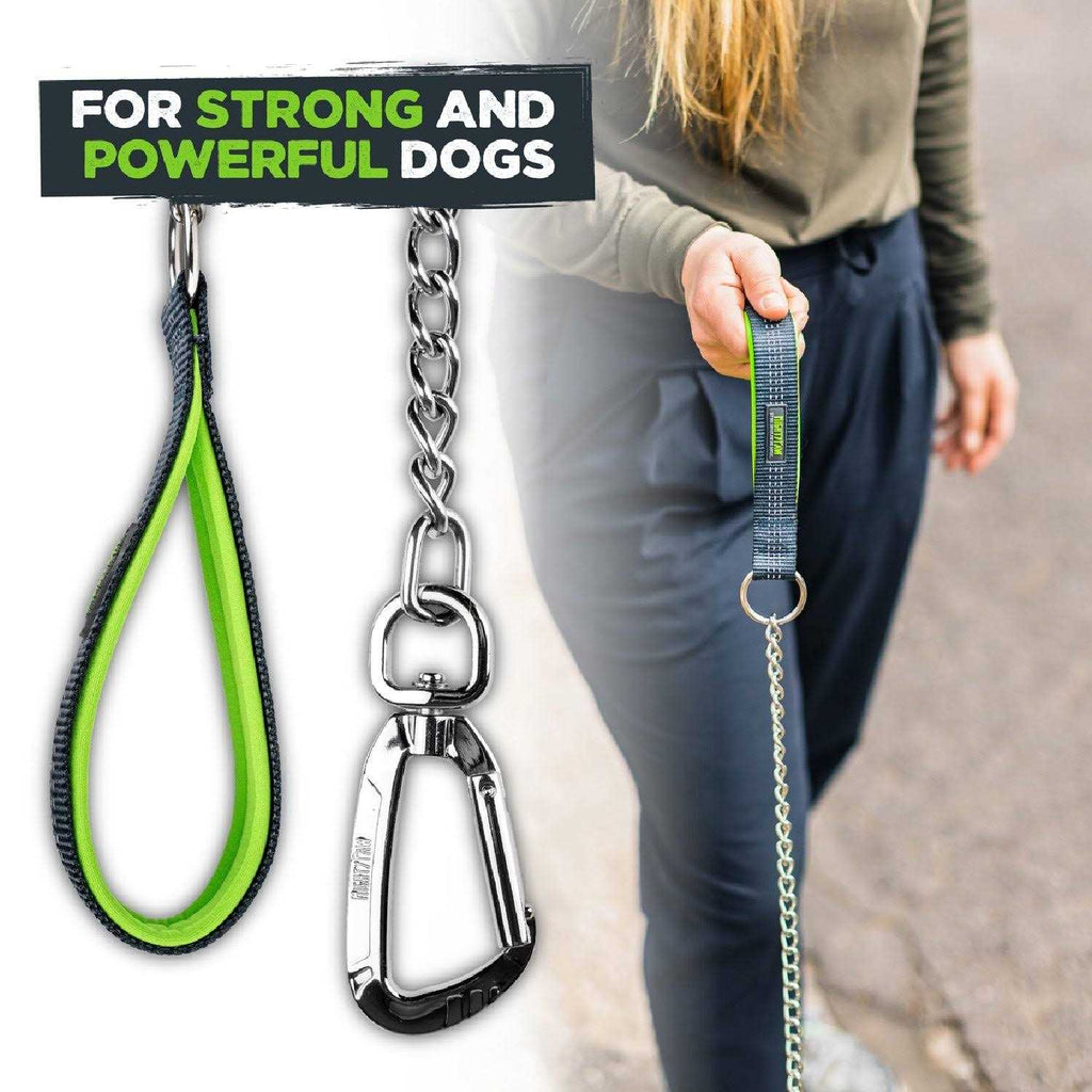 Chew-Proof Dog Seat Belt U7963
