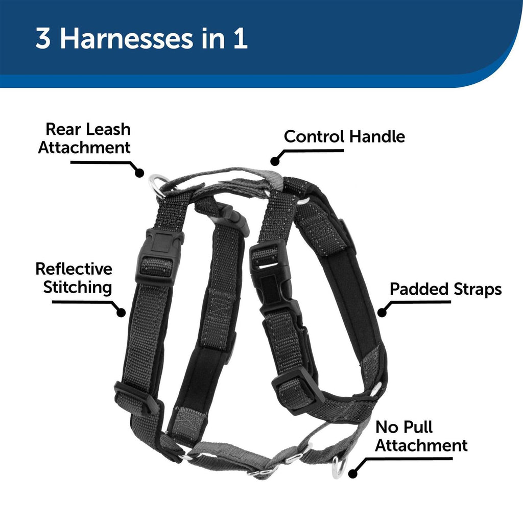 3 in 1 Harness with Leash T78372