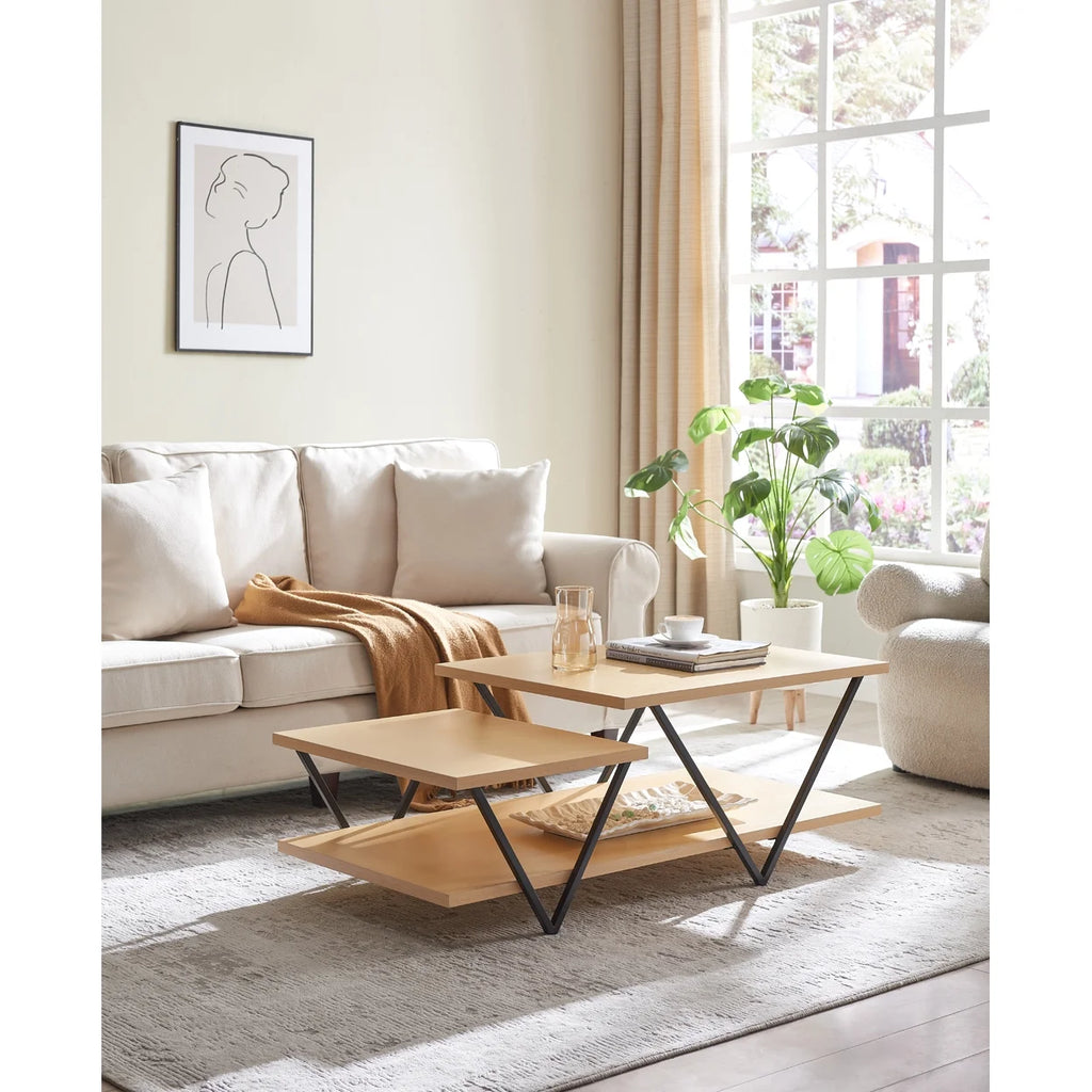 48 Inch 2 Tier Coffee Table with Bottom Shelf V886240