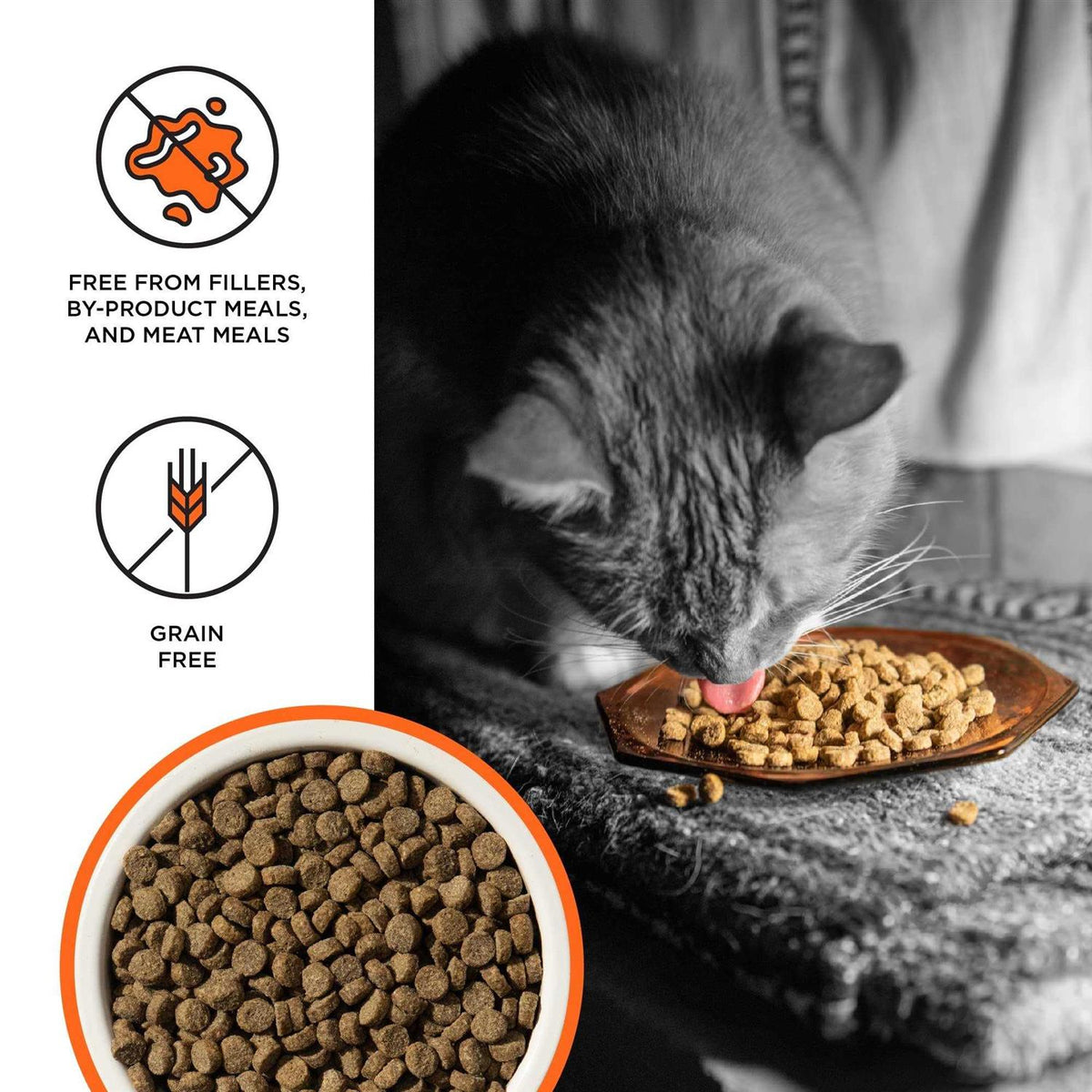 Chicken Recipe Dry Cat Food X55337