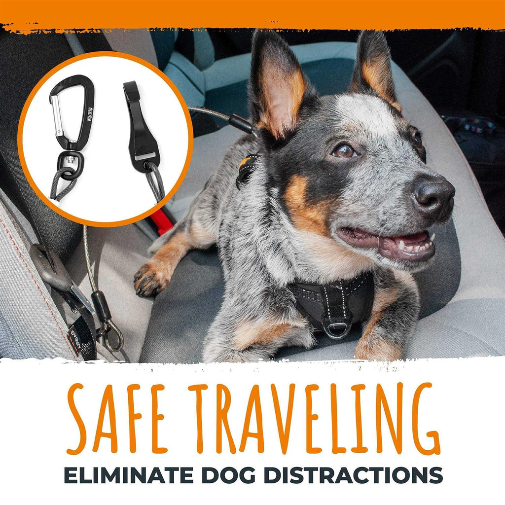 Chew-Proof Dog Seat Belt U7963