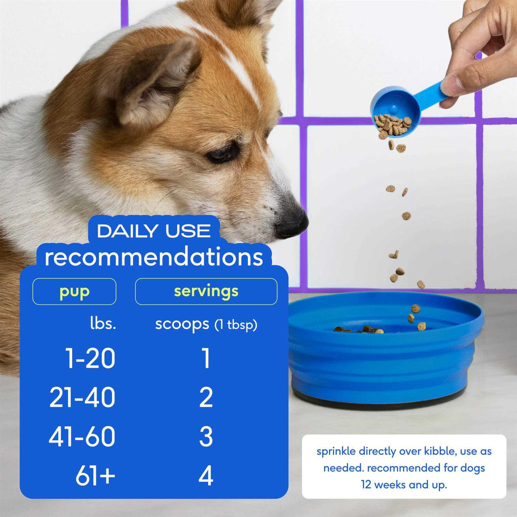 Anal Gland Supplement for Dogs E680675