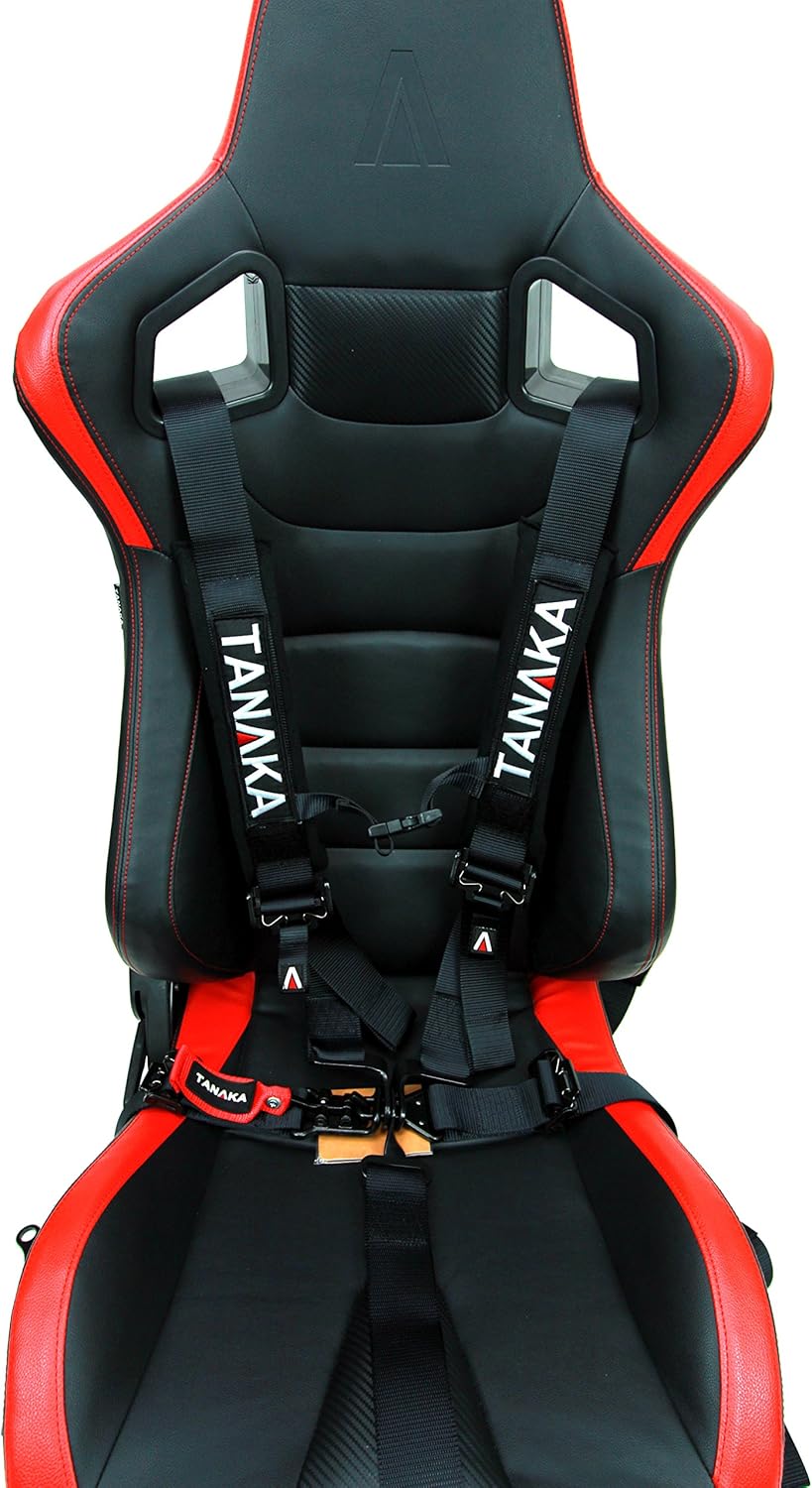 Black 5 Points Safety Harness Set with Shoulder Pads, Pack of 2 M394