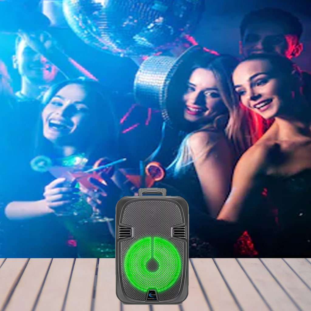 2000 Watts Rechargeable 12 Inch Bluetooth LED Speaker Q33877