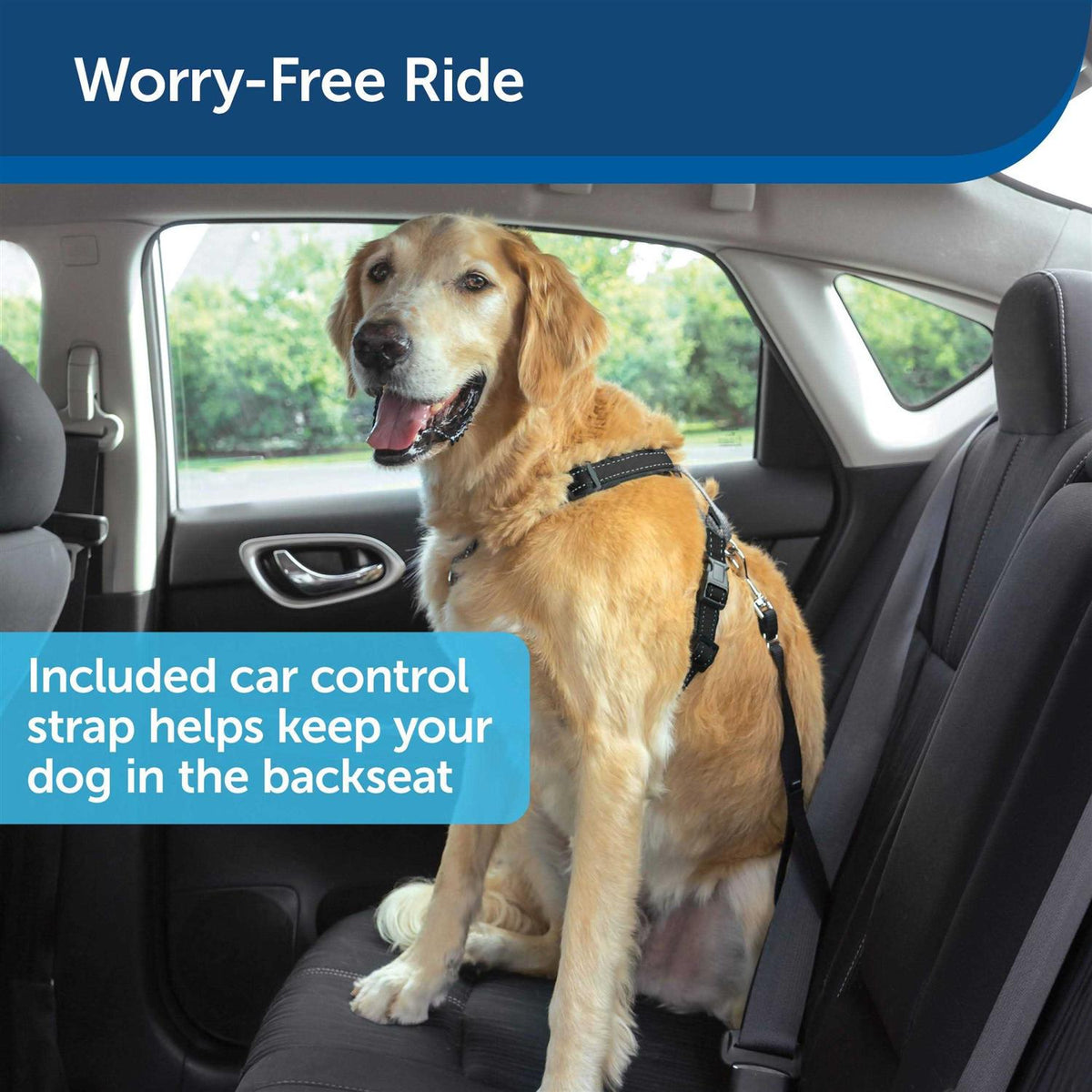 3 in 1 Harness with Leash T78372