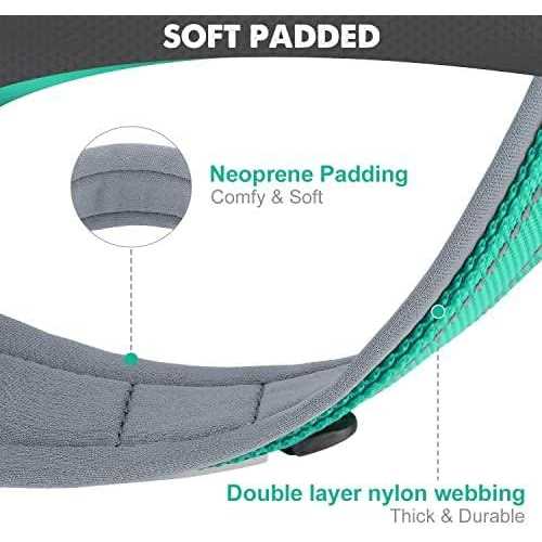 Reflective Soft Neoprene Padded Nylon Dog Collar Z2159