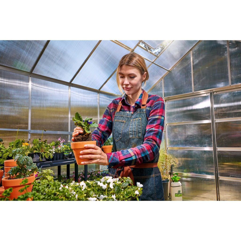 10 ft. x 12 ft. Greenhouse with 4 Vents B78936