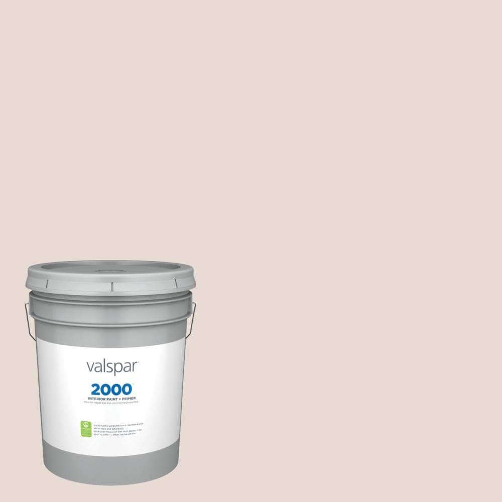 Eggshell Interior Paint (5-Gallon) C875190