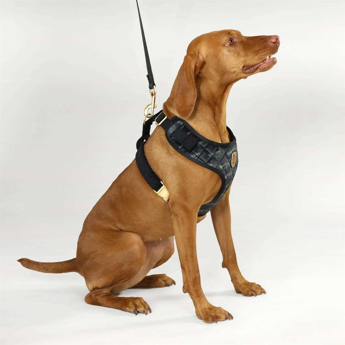 Quilted Pet Harness W260