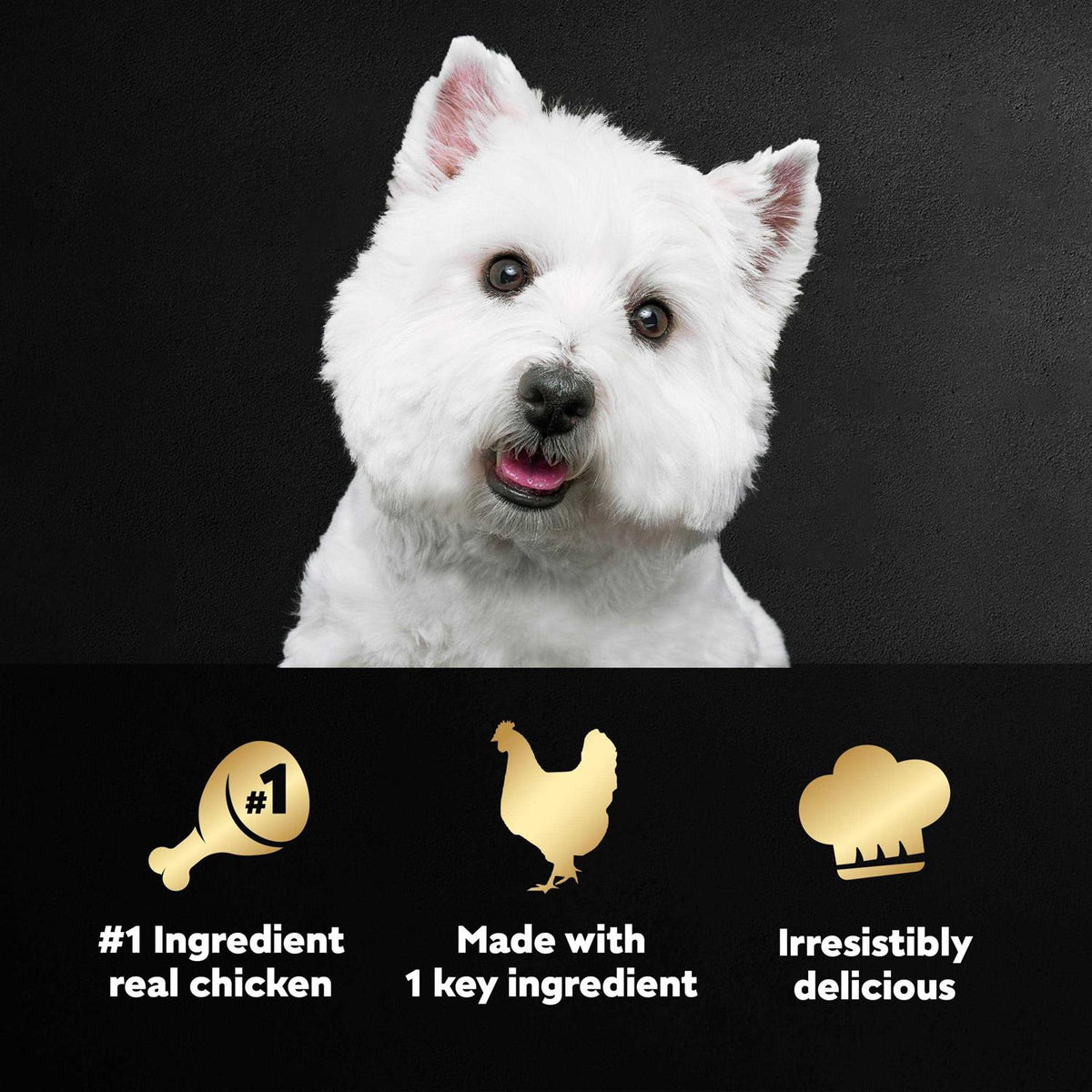 Chicken Wet Dog Food I1976
