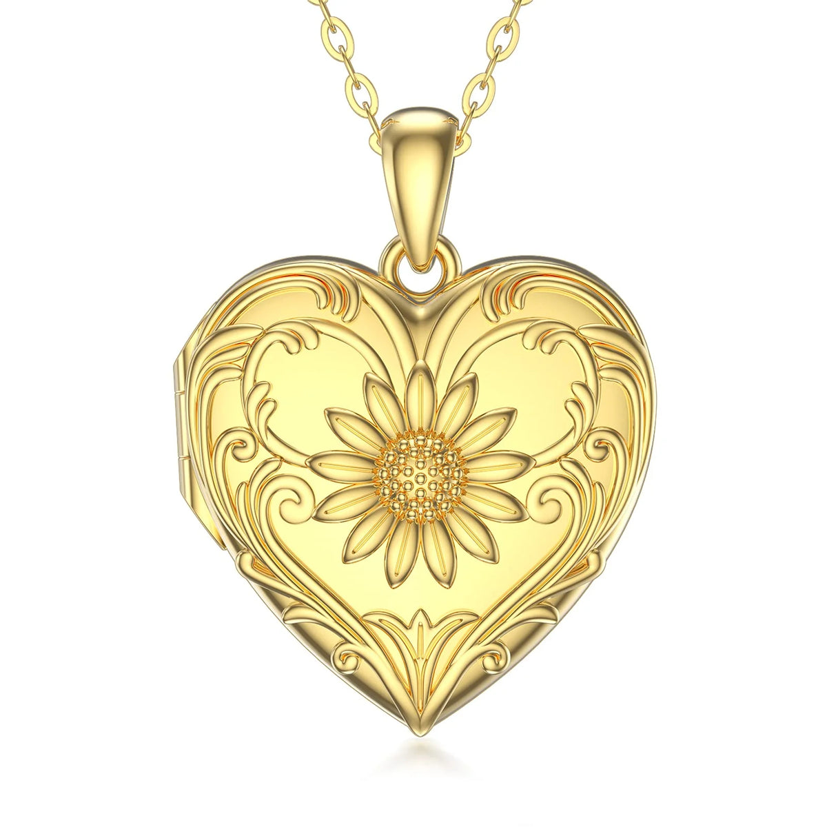 Sterling Silver Heart Locket Necklace H629241