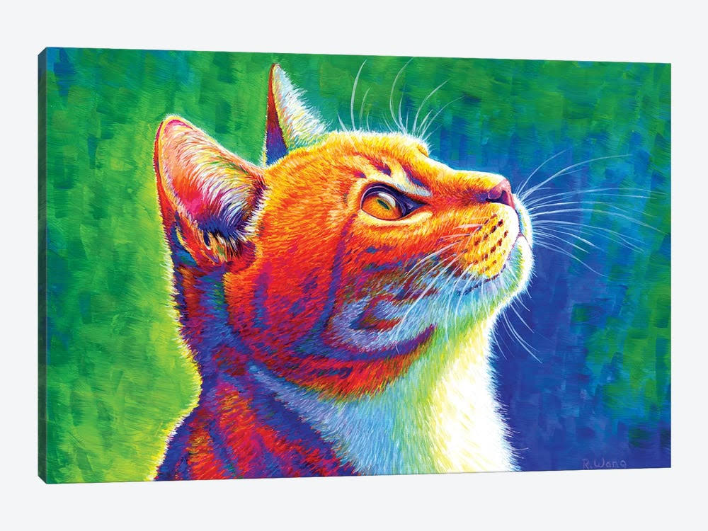 Rainbow Tabby Cat Canvas Wall Decor Prints Z28334