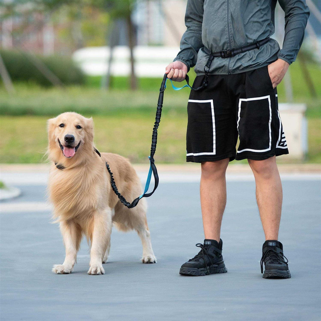 Hands Free Dog Leash with Zipper Pouch Q46227