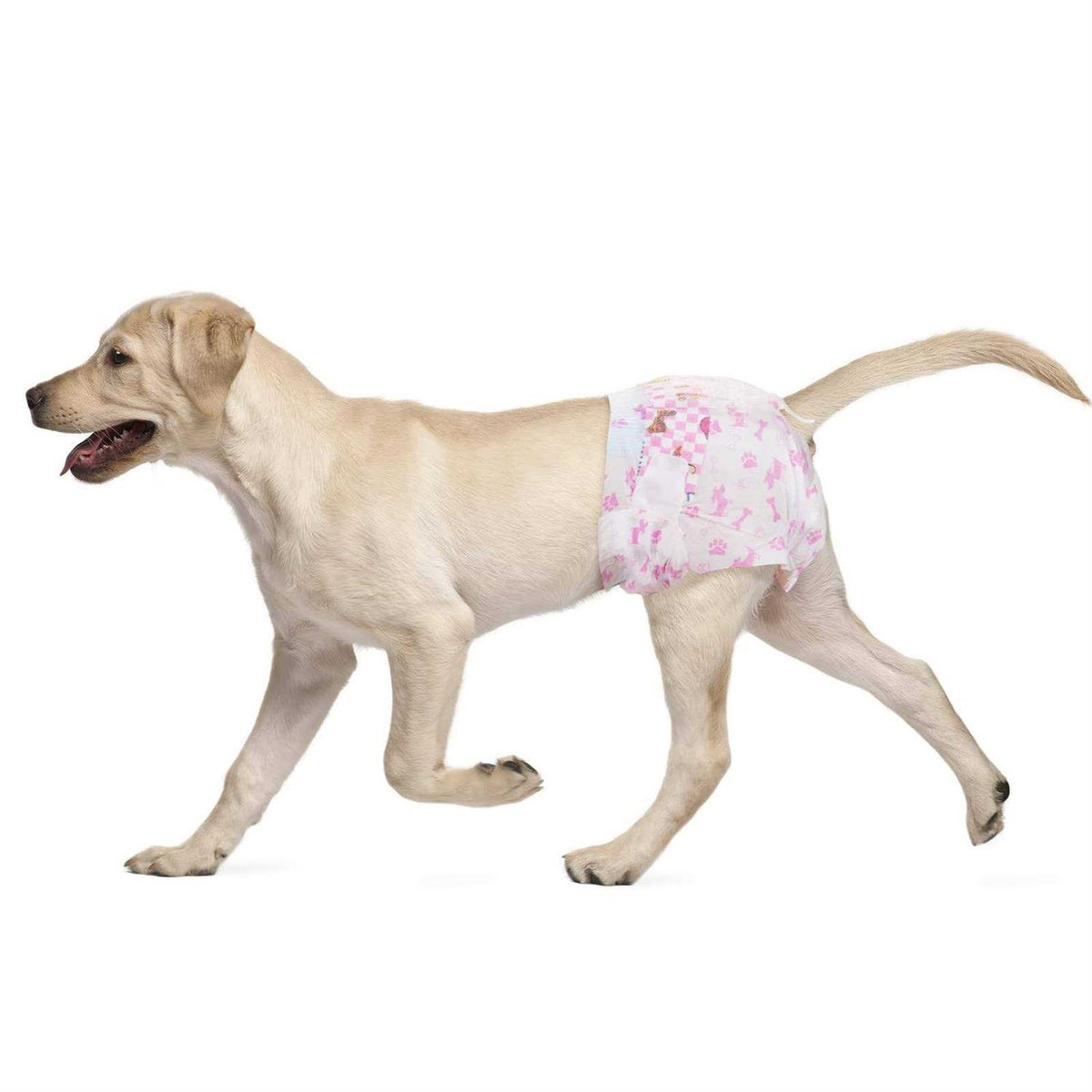 Super Absorbent Disposable Female Dog Diapers W712771