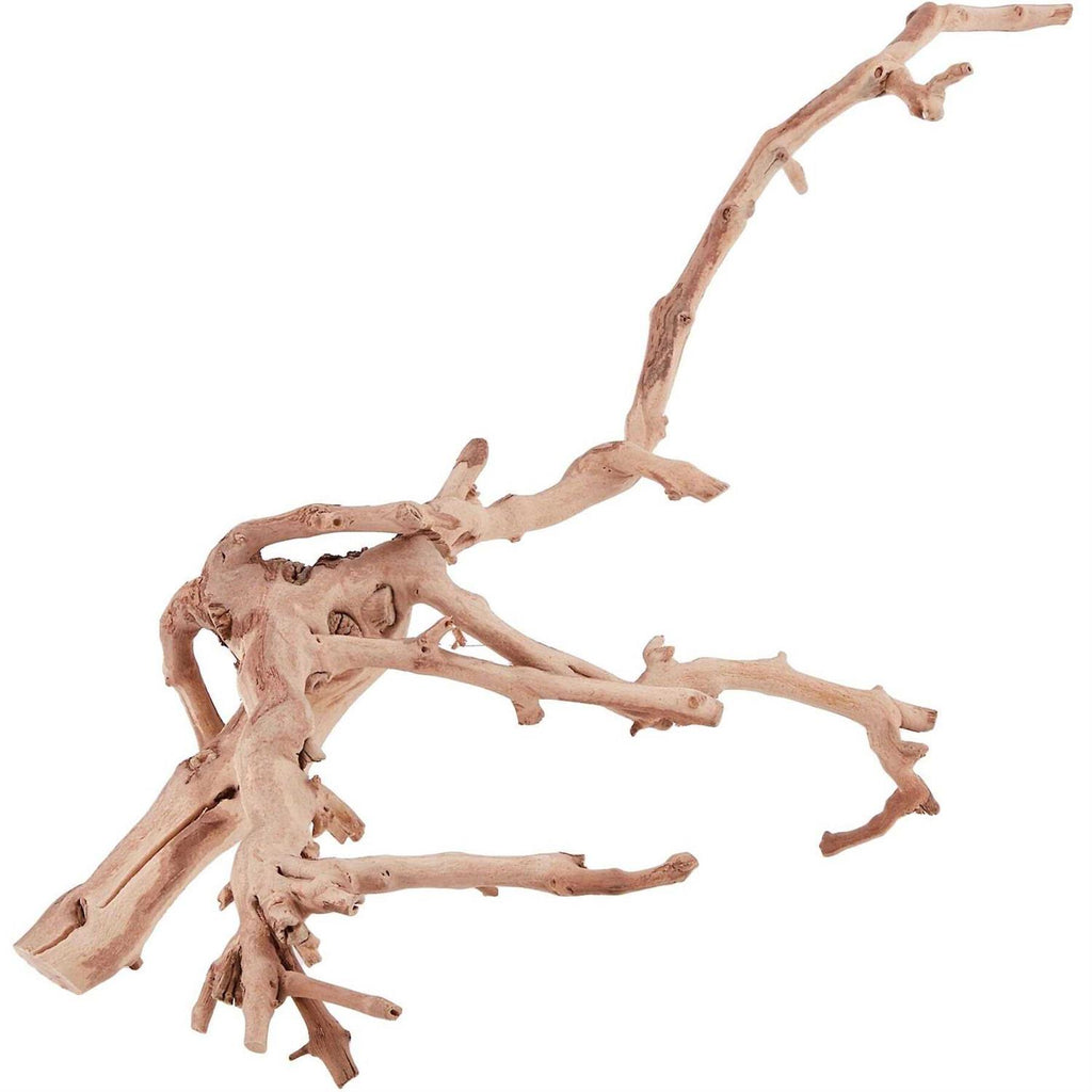 Forest Branch E286631