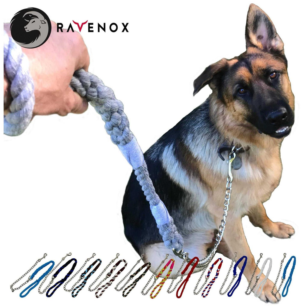 Dog Leash with Chain S5418