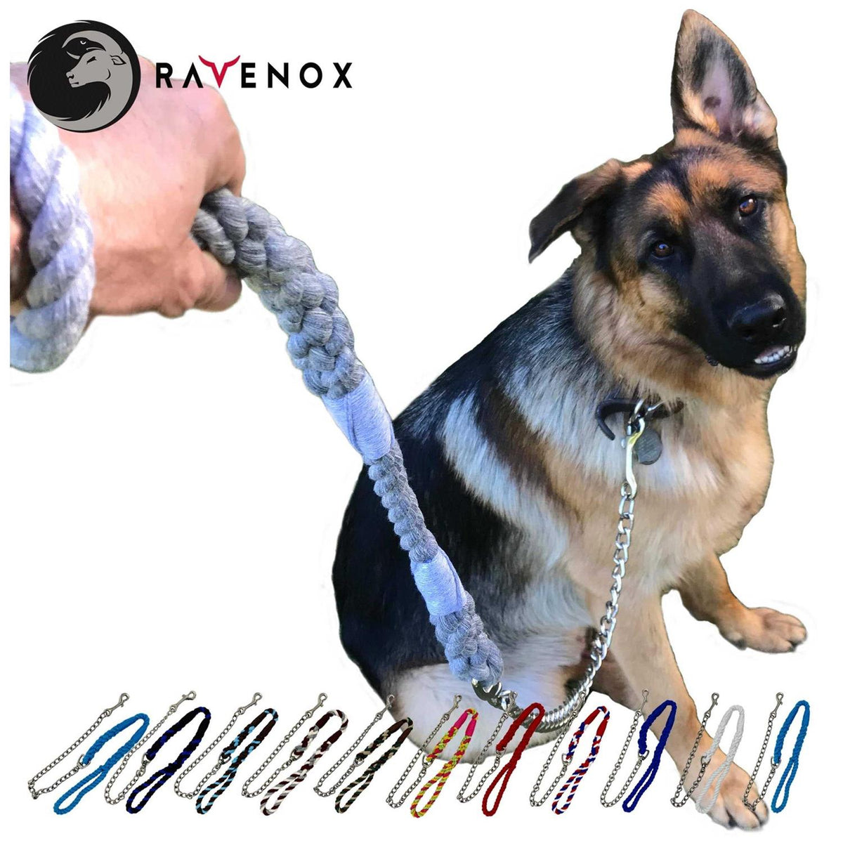 Dog Leash with Chain S5418