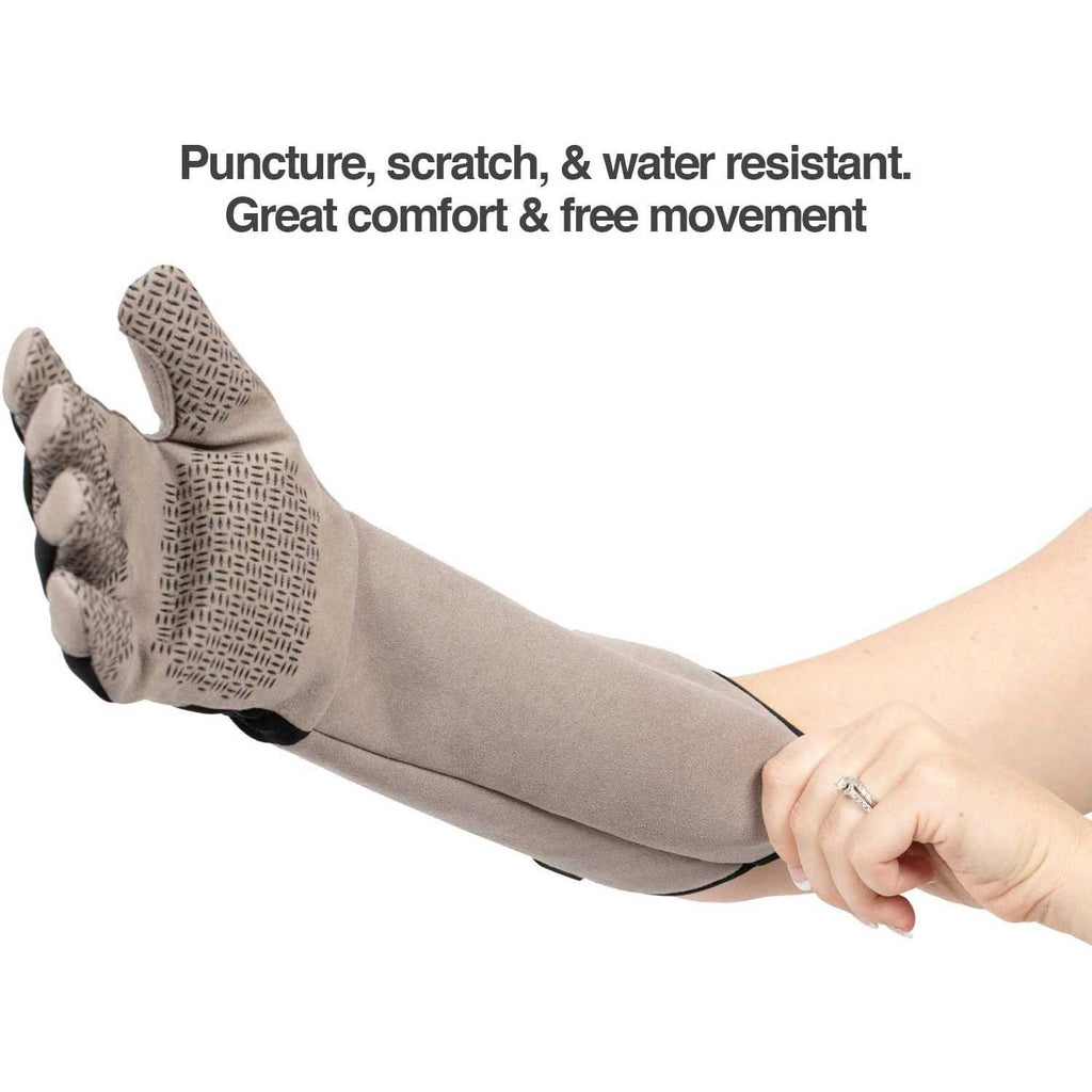 Multipurpose Pet Grooming Glove X829