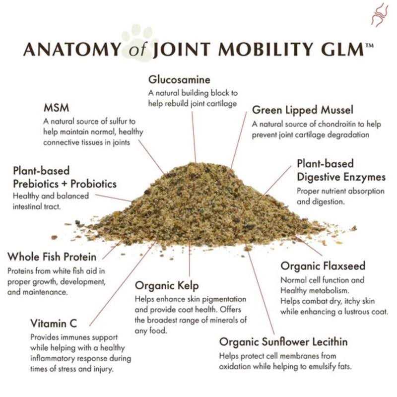 Joint Mobility with Green Lipped Mussel M886