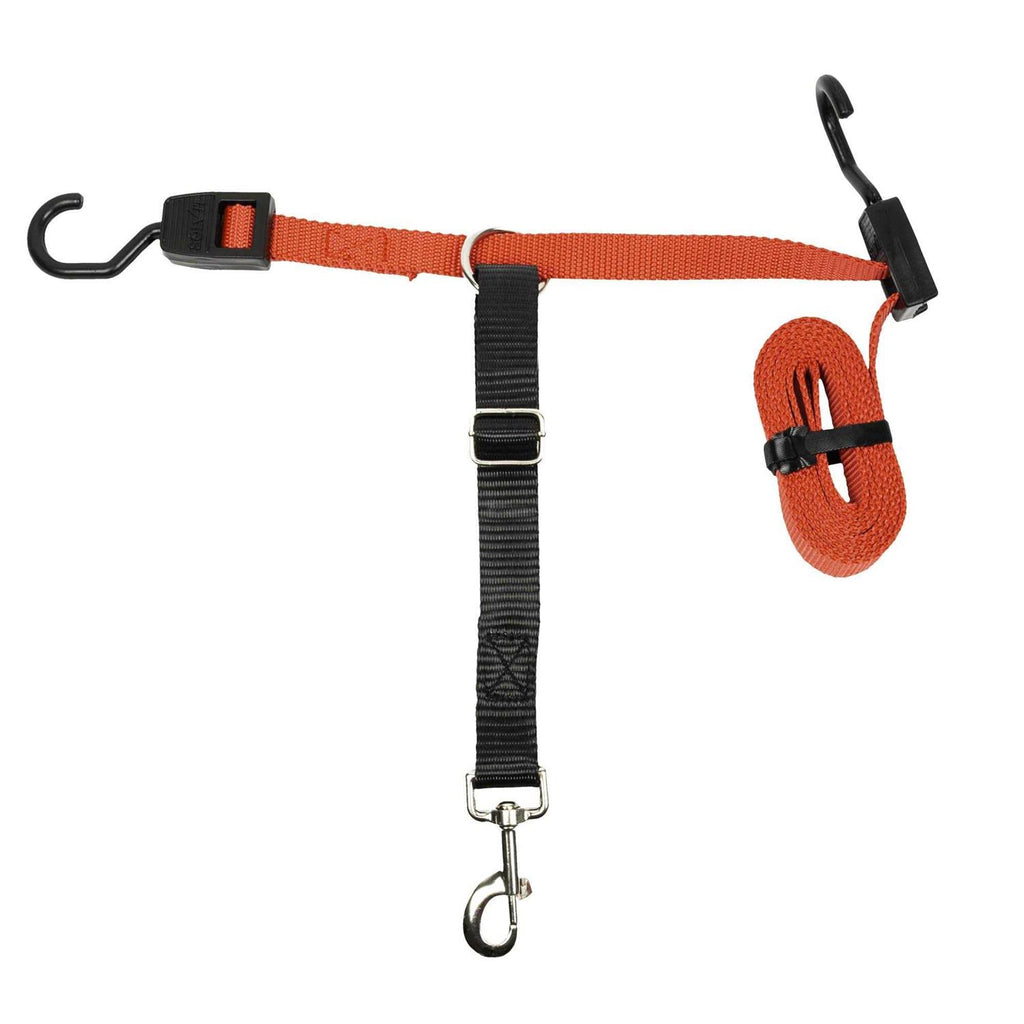 Dog Zipline I4468