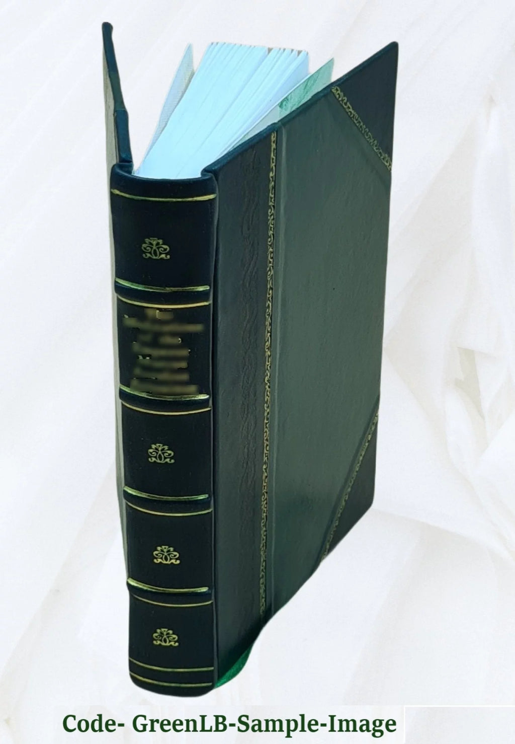 Leather Bound Book I2299