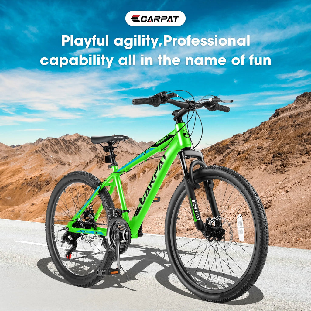 24 inch 21-Speed Mountain Bike with Disc Brake A13549